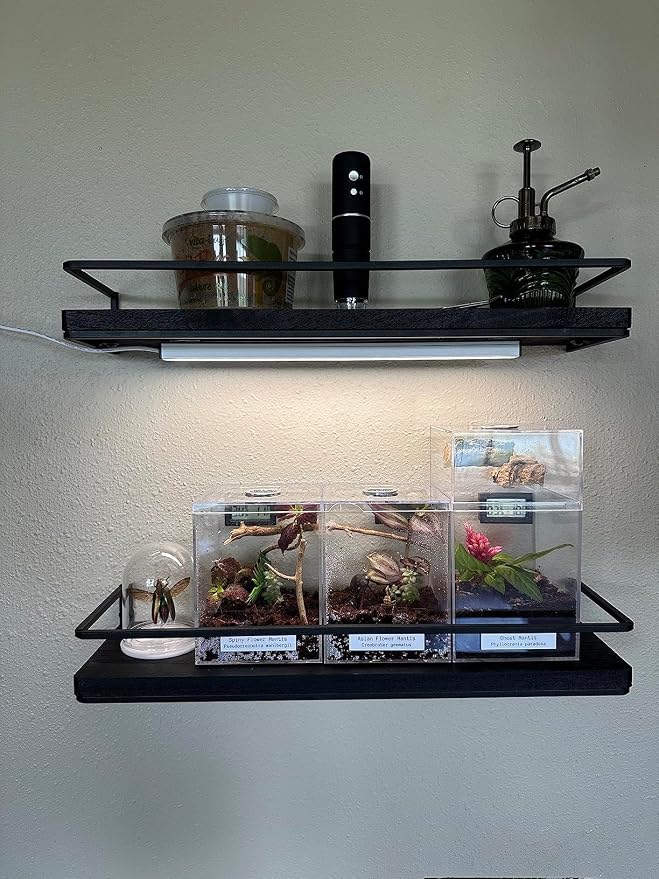 ASOKO Under Cabinet Led Lighting, 12 Inch Light Strip Bar, Daylight White 5000K - Image 2