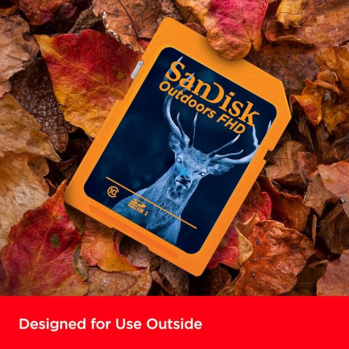 SANDISK 128GB 2-Pack Outdoors FHD SDXC UHS-I Memory Card - Image 2