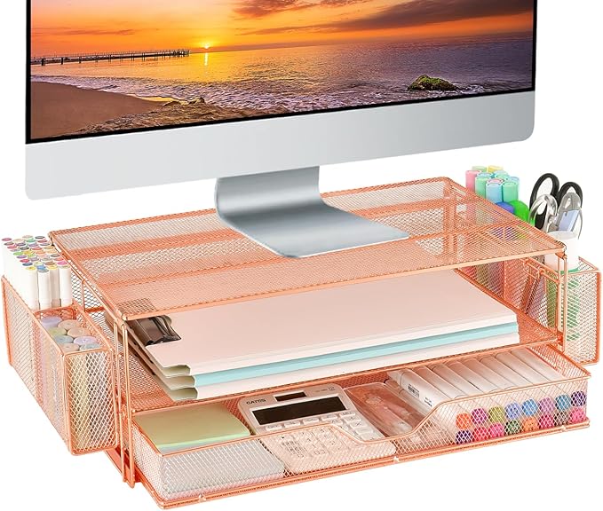 AUPSEN Computer Monitor Stands Riser，2-Tier Desk Organizers and Accessories by AUPSEN