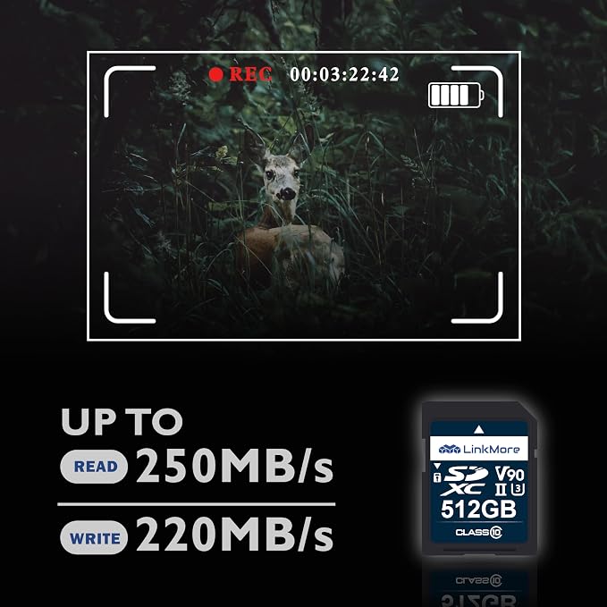 LinkMore XV29 512GB SDXC UHS-II Card UHS-II SD Crd, SD Card - Image 3