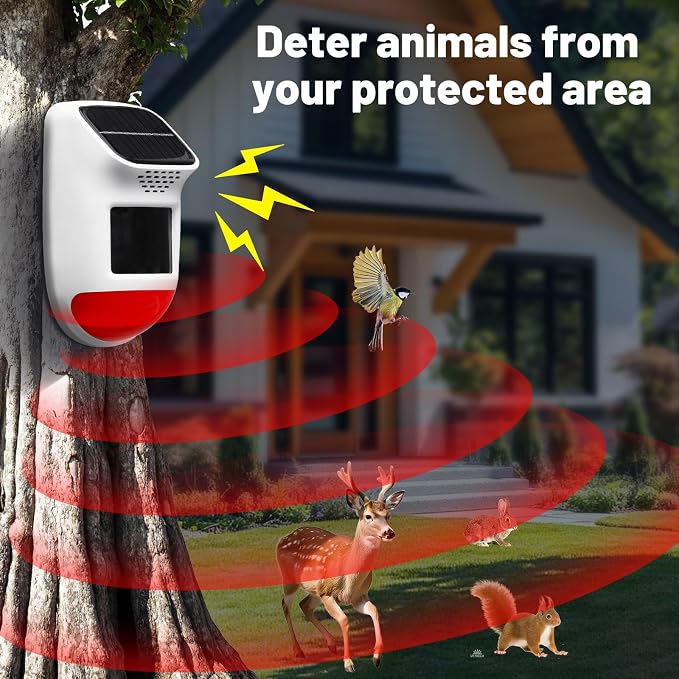 Solar Motion Sensor Alarm - Image 6