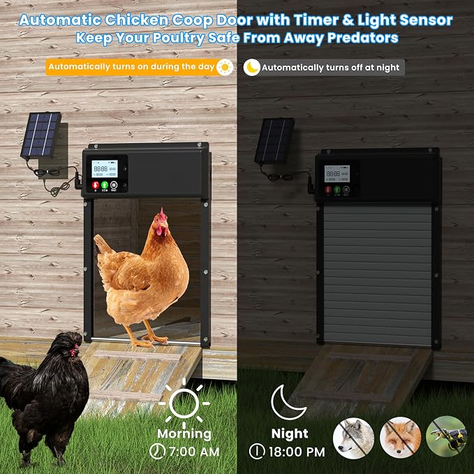 Automatic Chicken Coop Door Solar Powered, WiFi Automatic Chicken Door APP - Image 4