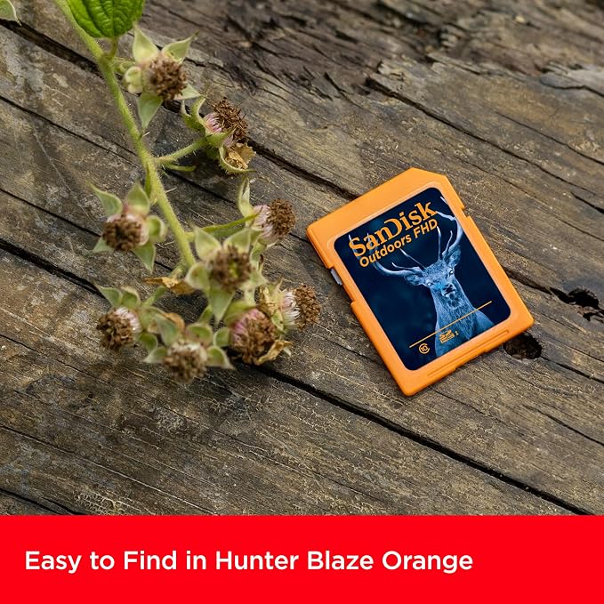 SANDISK 128GB 2-Pack Outdoors FHD SDXC UHS-I Memory Card - Image 4