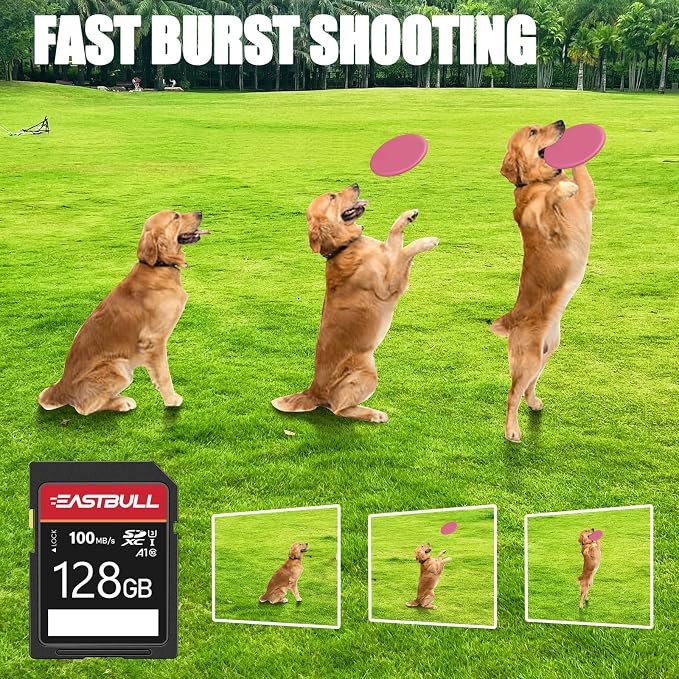EASTBULL 5-Pack SD Card 128GB U3 V30 High-Speed 100MB/s Read Class 10 SD Card - Image 2