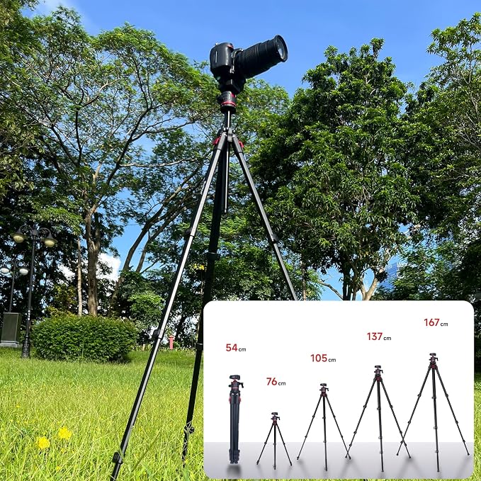 Travel Tripod, Canon G7X, DSLR/SLR Cameras, Video Camcorders, Action Cameras - Image 6