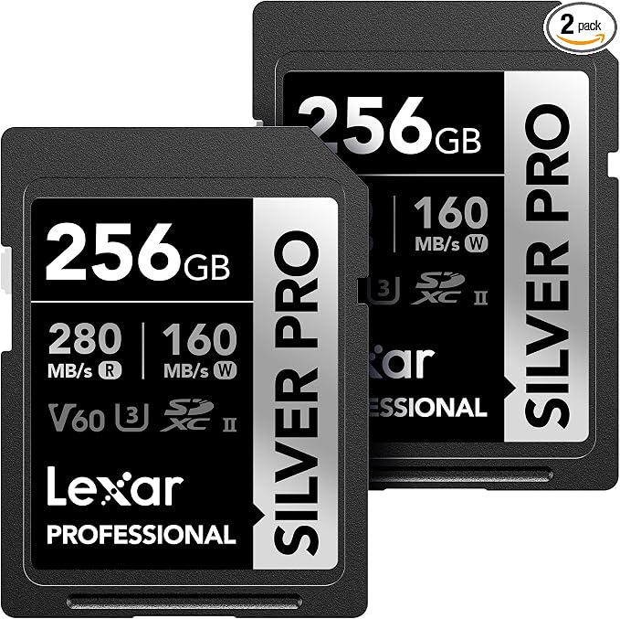 Lexar 256GB Professional Silver PRO SD Card, Full HD, by Lexar