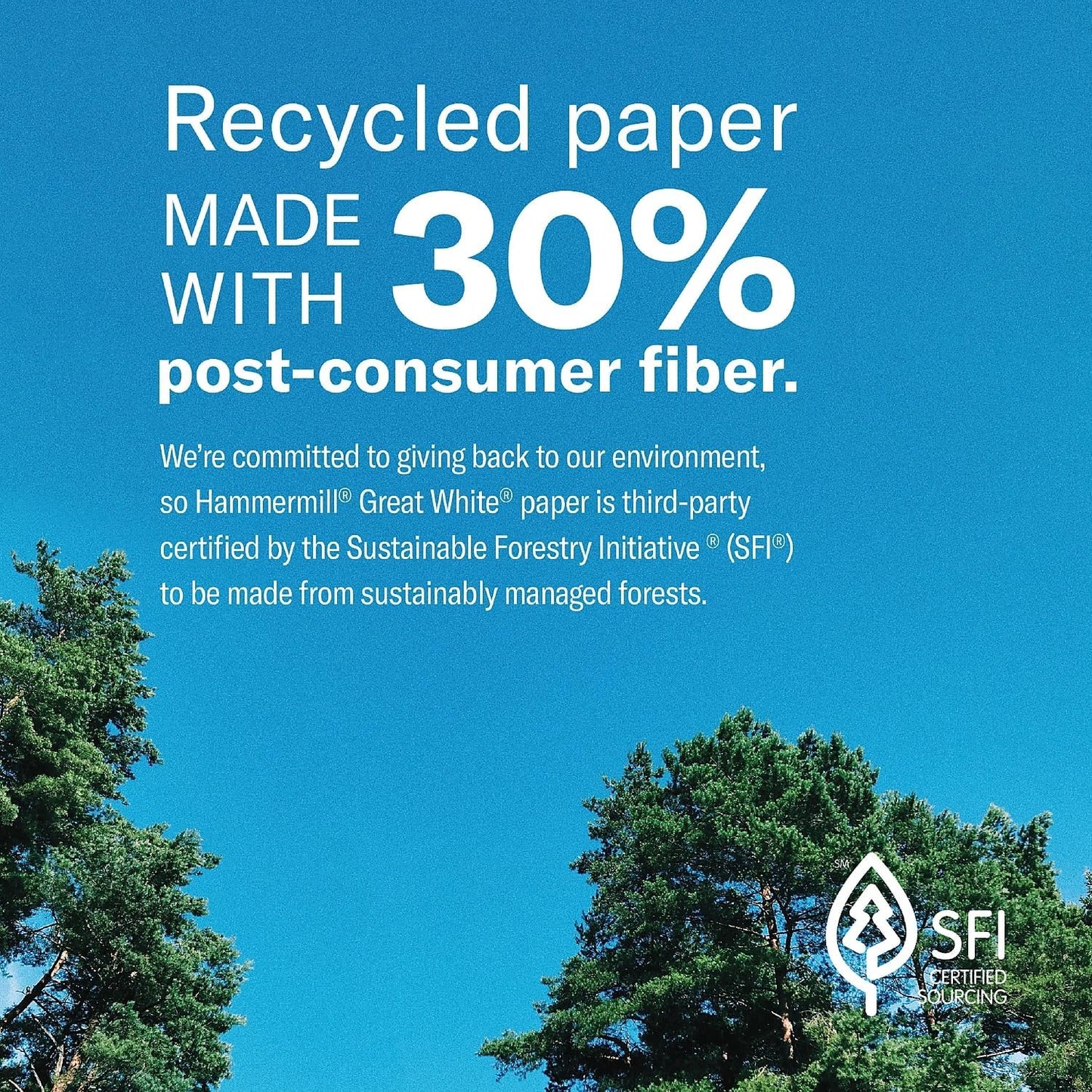 Hammermill Printer Paper, Great White 30% Recycled Paper, 8.5 x 11 - 92 Bright, Made in the USA, 086700C - 10 Ream (5,000 Sheets)